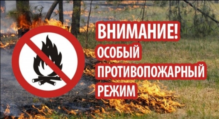 С 15 апреля до 30 июня 2024 года вводится особый противопожарный режим.